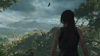 Amazon Jungle Survival: Lara’s Brutal Plane Crash Escape! ✈️🔥 screenshot 2