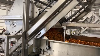 Efficiency Unleashed: PTI's Continuous Bin Tipper | Explore the Future of Produce Management!