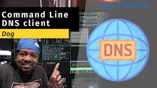 Dog | Command Line DNS Client for Linux
