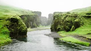 Sérénité Fluviale : Musique Relaxante au Bord d’une Rivière