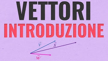 VETTORI | SOMMA e DIFFERENZA, Moltiplicazione per uno Scalare