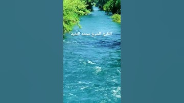 القرآن الكريم #محمد_الفقية #اكسبلور #المصحف #تلاوات_رائعة