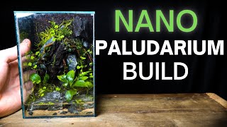 How To Make a Nano Paludarium (Step By Step Tutorial)