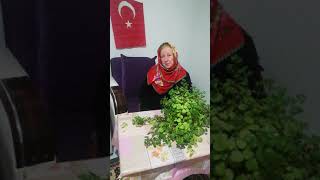 Yol meşakkatli yolcu yılmadan MİLLİ YOL da yürüyor