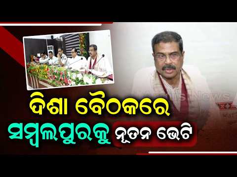 Sambalpur DISHA Meeting: MP Dharmendra Pradhan Outlines Master Plan | Argus News