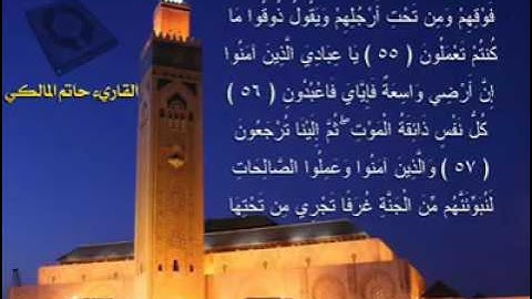 تلاوة رائعة للقارئ حاتم المالكي