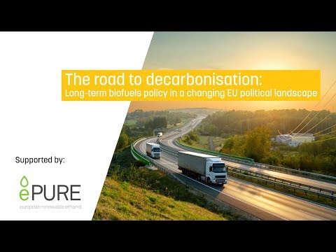 The road to decarbonisation: Long-term biofuels policy in a changing EU political landscape