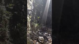 Spontaneous Perfection Love My Hiking Buddies