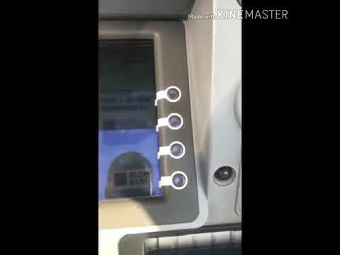 باي باي يا حلوين