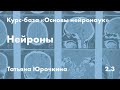 Нейроны // Татьяна Юрочкина