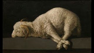 NO ONE was dead for your sins in Trinity World