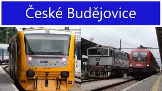 Vlaky České Budějovice - 30.7.2014 / Czech Trains České Budějovice