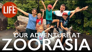 Our Adventure at Zoorasia — A Great Zoo for Families Near Tokyo | Life in Japan Episode 21