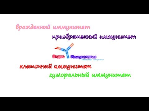 Видео Иммунология Врожденный и Приобретенный, Клеточный и Гуморальный иммунные ответы