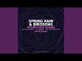 Spring Rain &amp; Birdsong