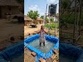 किसान का गजब जुगाड़ 😲 खेत में बना दिया Swimming Pool #shortsvirl #desijugaad