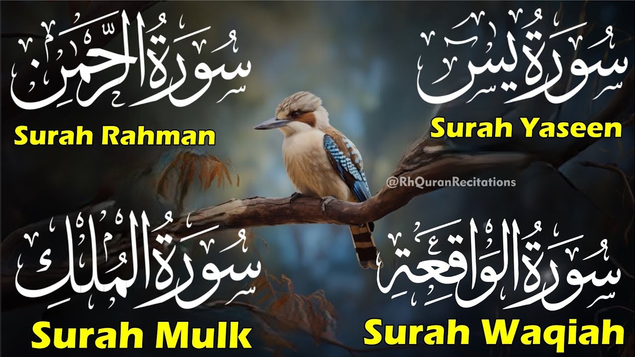 Beautiful Surah Yaseen (Yasin) | Surah Rahman | Surah Waqiah | Surah Mulk | Episode 98