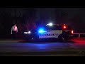 Human skull found near Buffalo Bayou