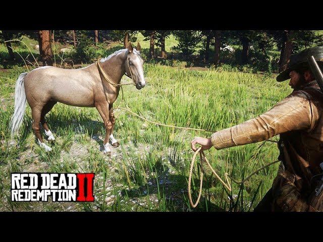 Cavalos selvagens em RDR 2: como capturar, como montar e domar um cavalo