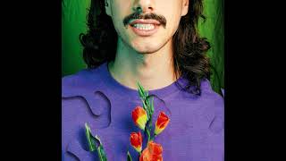 Lion Sphere - Sugar Rush