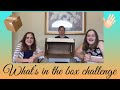 WHATS IN THE BOX CHALLENGE | Herrin Twins