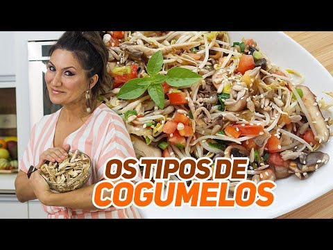 OS TIPOS DE COGUMELOS E SEUS BENEFÍCIOS PARA SAÚDE (PARTE 2)