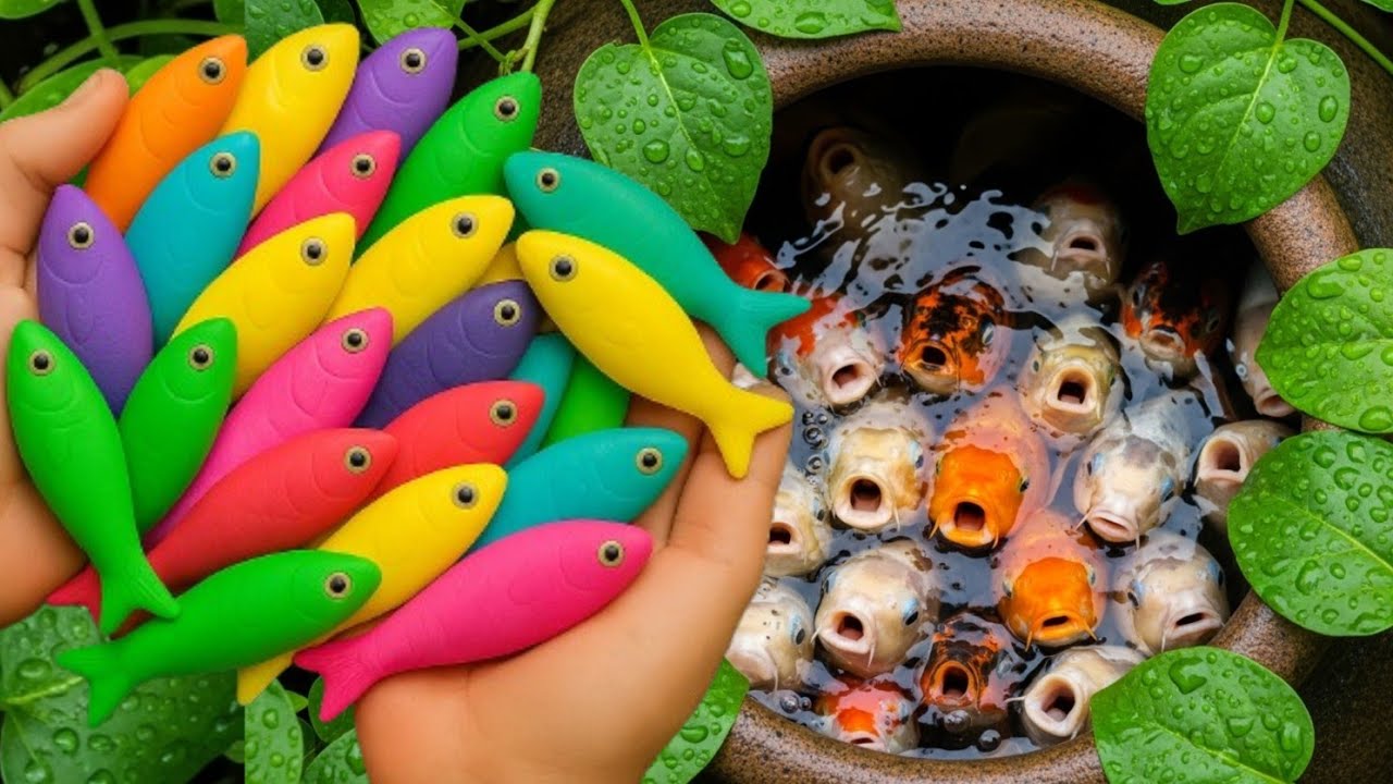 Поиск декоративных рыб в разноцветных шарах 