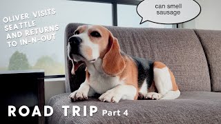2022 road trip! Oliver goes to In-N-Out Burger (Part 4)