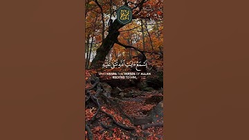 ❤️ سورة الجاثية الآيه بصوت الشيخ ياسر الدوسري #وَيْلٌ لِكُلِّ أَفَّاكٍ أَثِيمٍ#