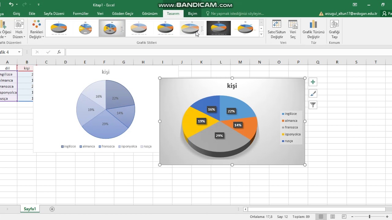 Excel�de daire grafiği. YouTube