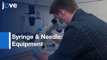 Modeling Effects Of Hemodynamic Stress: Circulating Tumor Cells l Protocol Preview