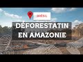 Dforestation en amazonie causes consquences frana