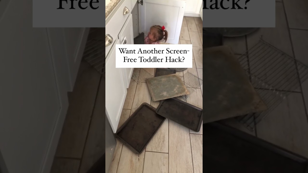 Toddler Hacks
