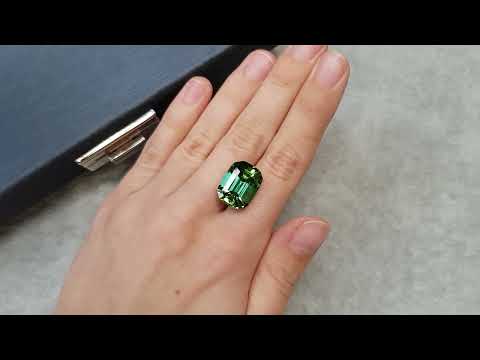 Bright green tourmaline with a blue tint of 12.51 ct Video  № 1