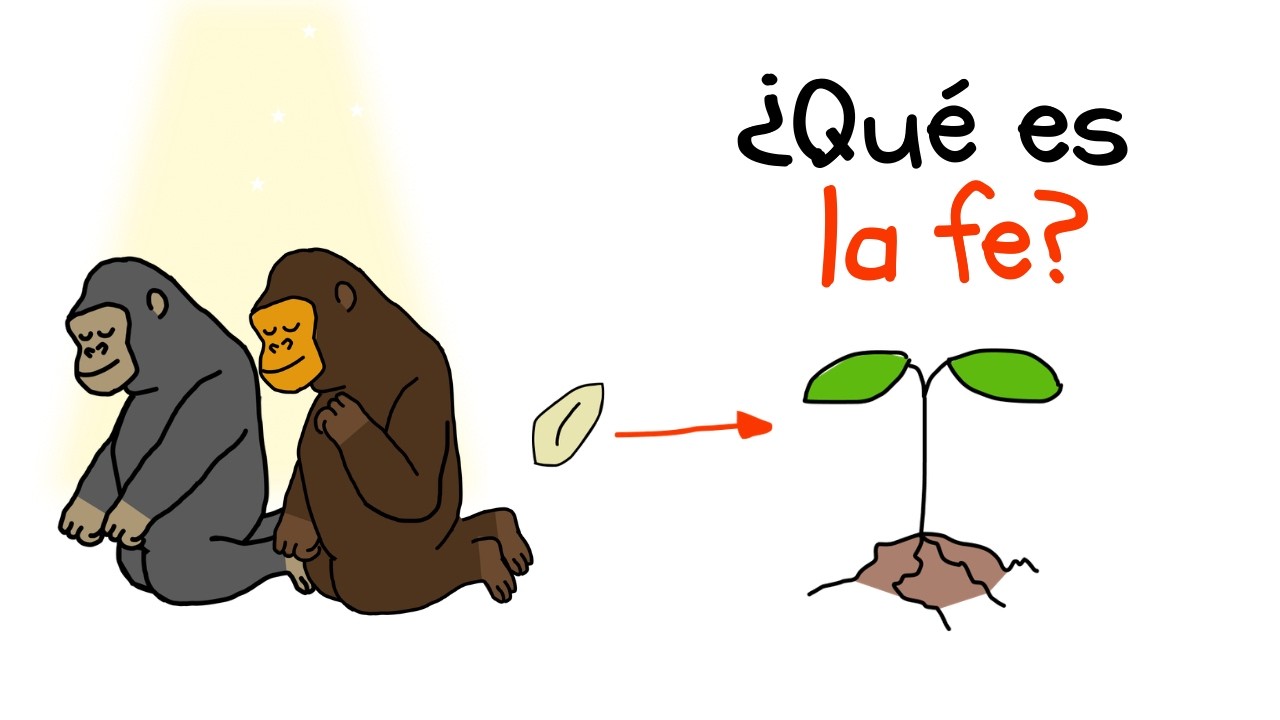 La fe explicada con plátanos🍌