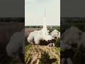 Russian Iskander Rocket launch