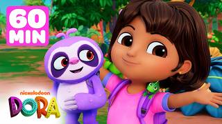 cutest baby animal rescues dora s rainforest rescues 60
