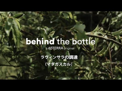 Behind the Bottle：ラヴィンサラの調達（マダガスカル）