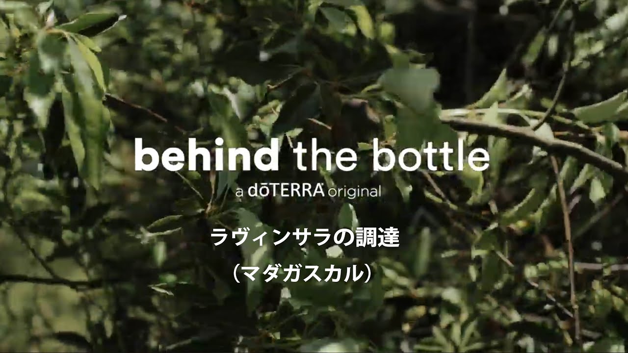 Behind the Bottle：ラヴィンサラの調達（マダガスカル）