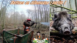 Superbes chasses en battue en Allemagne, sangliers et daims, partie 1 : incroyable Keiler !