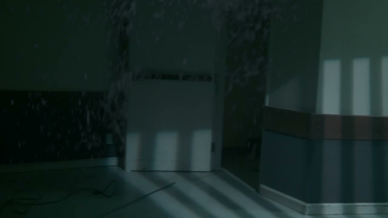 NEW MAZE for 2025: The Zoo