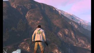 Test GTA 5 with R9 380 and FX6300 High Settings