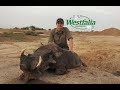 Jagd auf Warzenschweine in Mauretanien