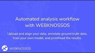 Workflow for automated analysis with WEBKNOSSOS