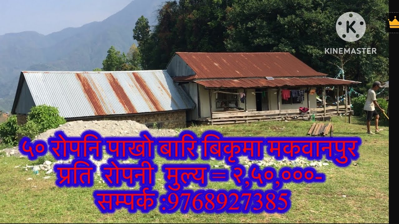 #viral#property#realestate#सस्तो जग्गा#  50 रोपनि जग्गा # मकवानपुर / सम्पर्क नुम्बर: 9768927385