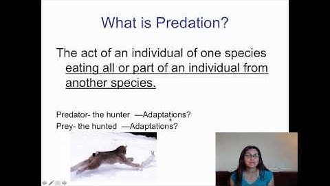 Communities and Ecosystems Video 1