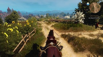 The Witcher 3 E3 2014 horse animation problems