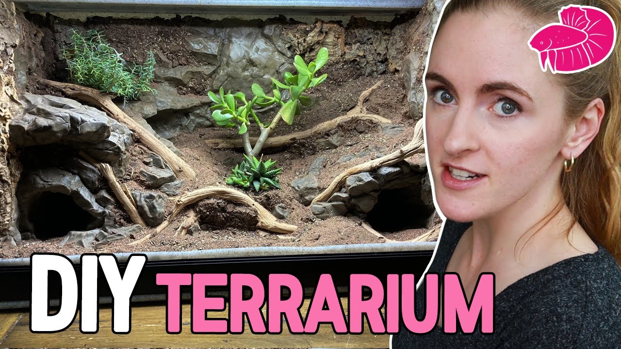 How Made my Vivarium a Zoo Exhibit with FOAM - DIY Terrarium Background Walkthrough! YouTube