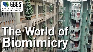 Biomimicry in Design - Education Clips