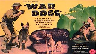 War Dogs